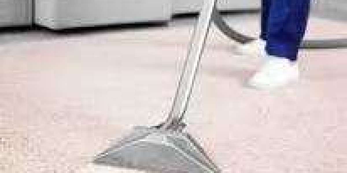 How Professional Carpet Cleaning Can Improve Your Home’s Comfort